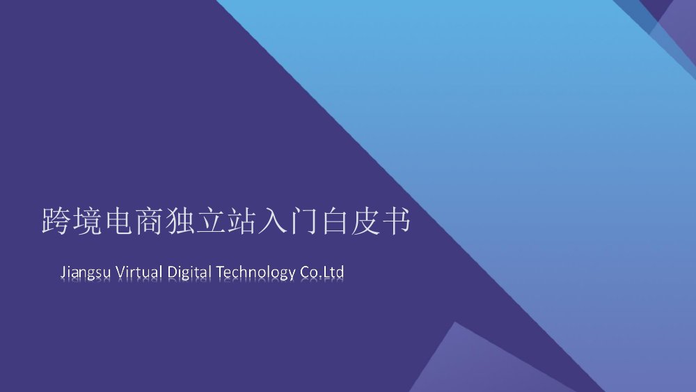 易诺：2024年跨境电商独立站入门白皮书.pdf