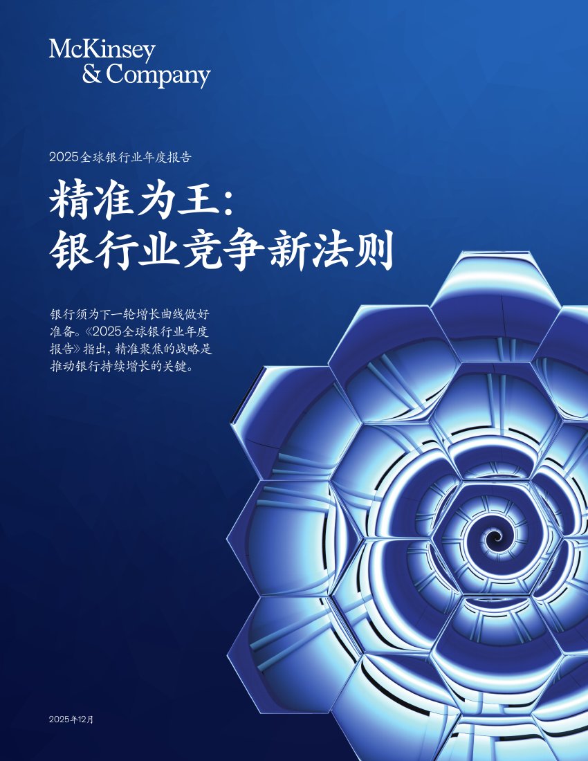 麦肯锡：精准为王：银行业竞争新法则.pdf