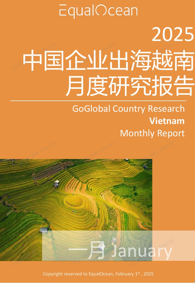 2025中国企业出海越南月度研究报告.pdf