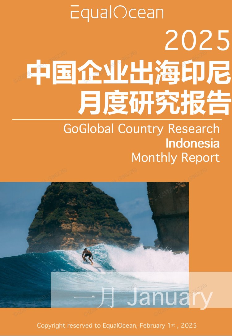 2025中国企业出海印尼月度研究报告.pdf