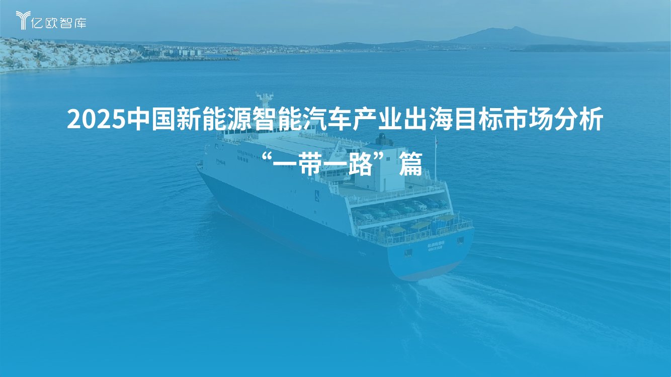 2025年新能源汽车出海市场目标“一带一路”.pdf