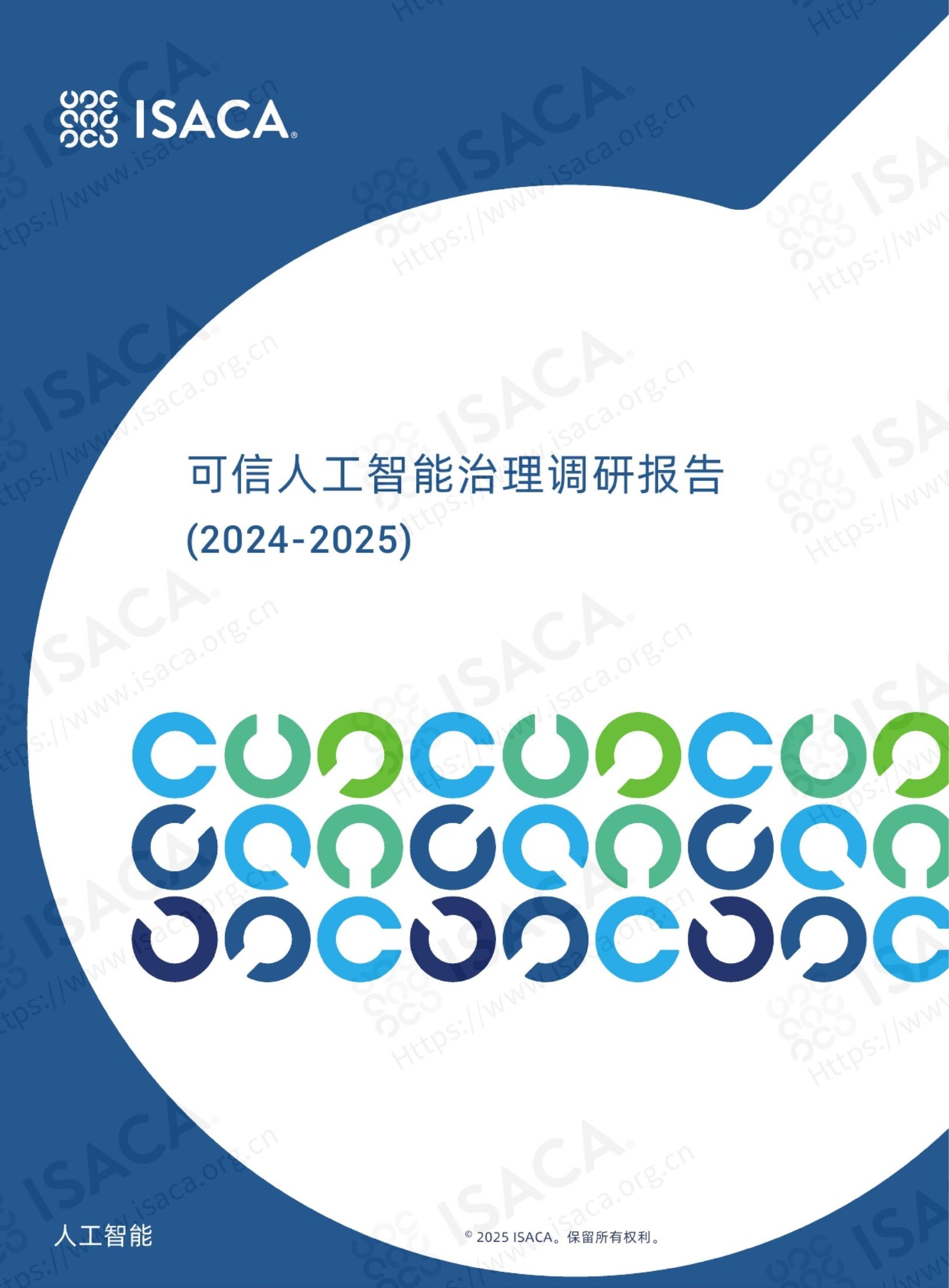 可信人工智能治理调研报告（2024-2025）.pdf