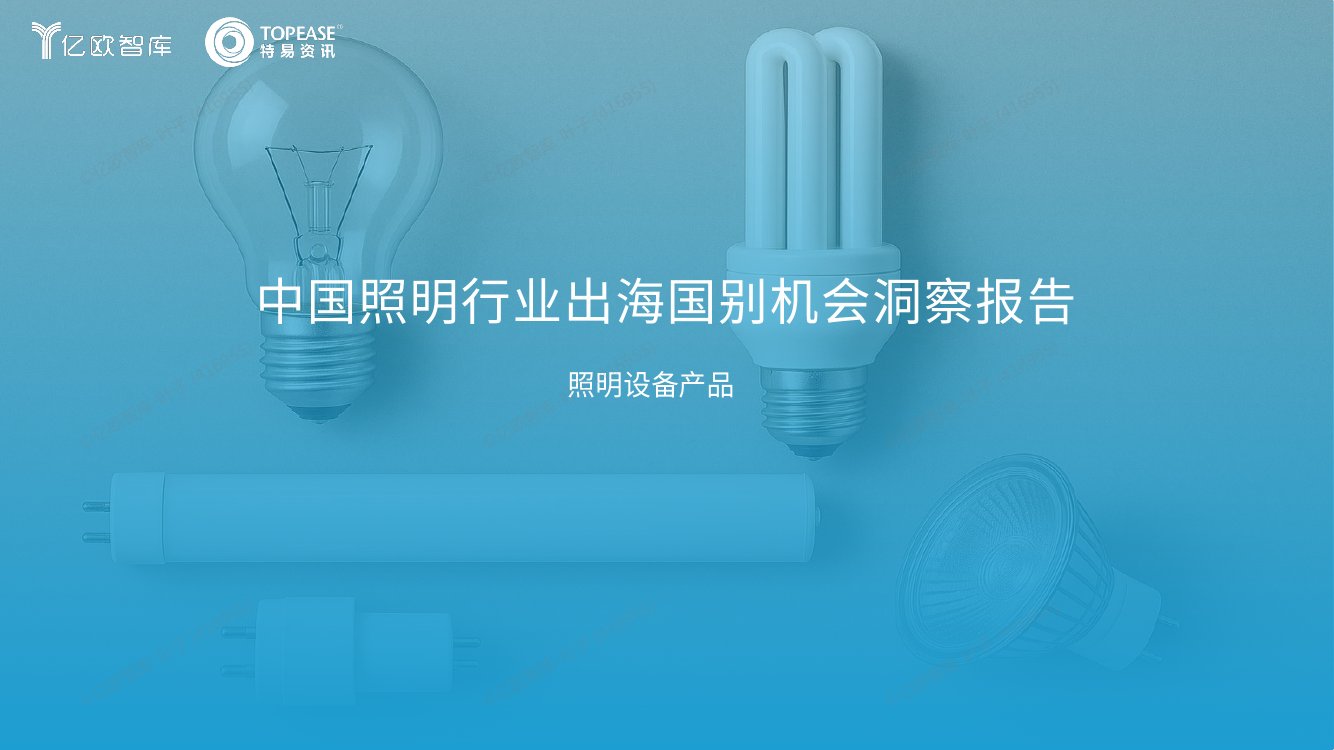 2025年中国照明行业出海国别机会洞察报告.pdf