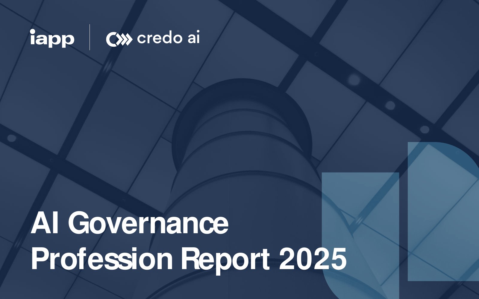 2025年人工智能治理专业报告（英文）.pdf