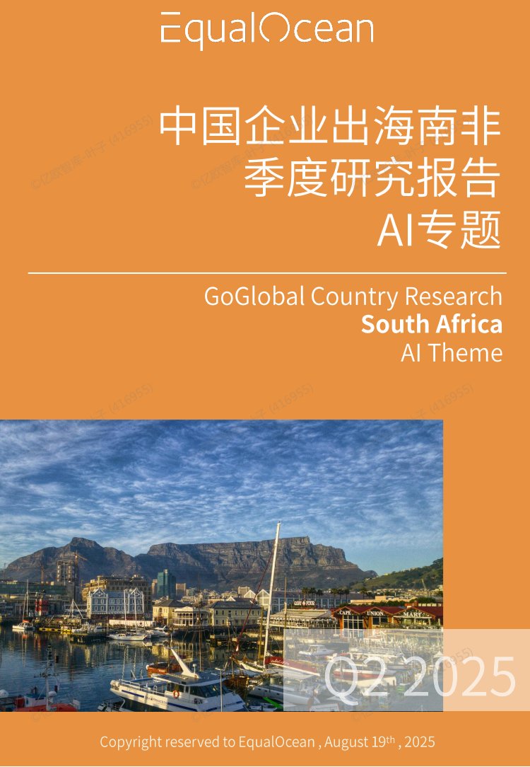 2025中国AI企业出海系列研究：南非篇.pdf