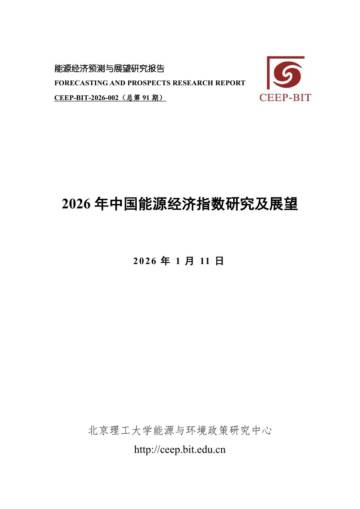 2026年中国能源经济指数研究及展望.pdf