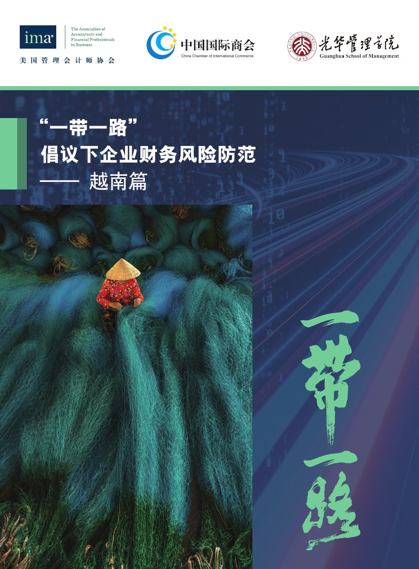 中国国际商会：“一带一路”倡议下企业财务风险防范（越南篇）.pdf