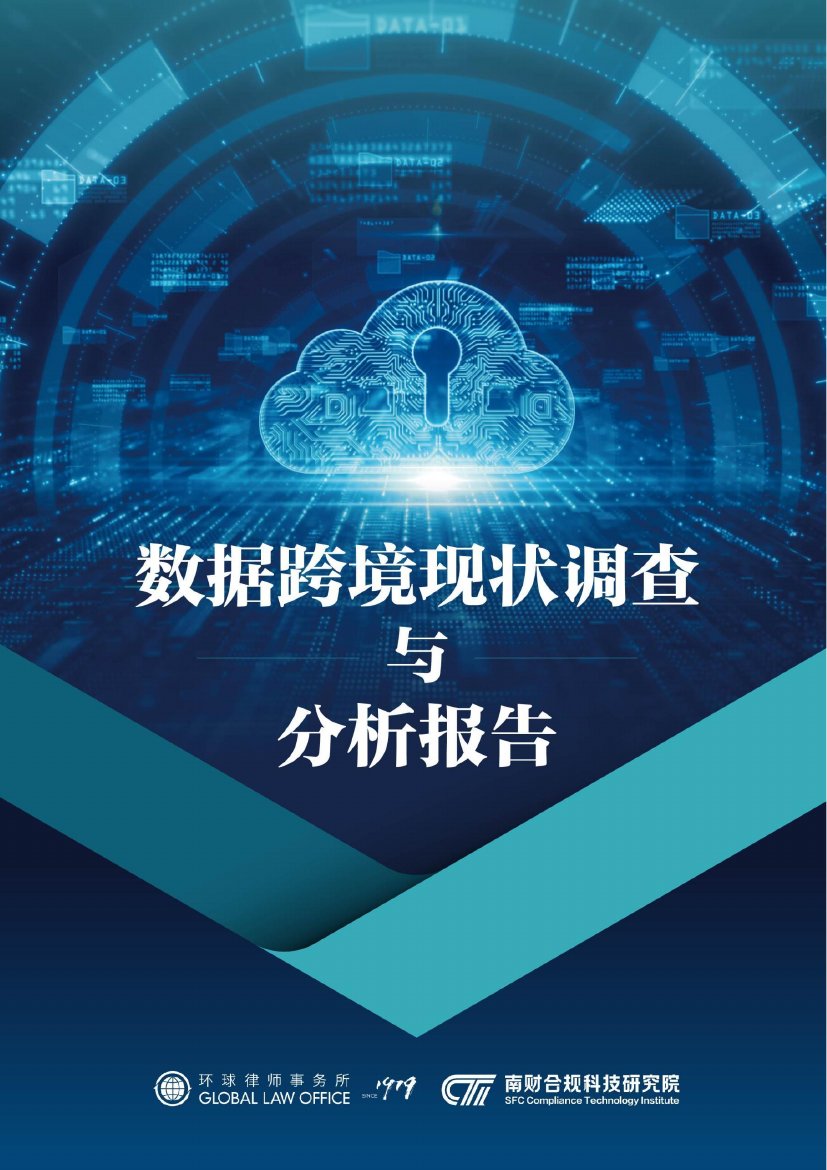 数据跨境现状调查与分析报告.pdf