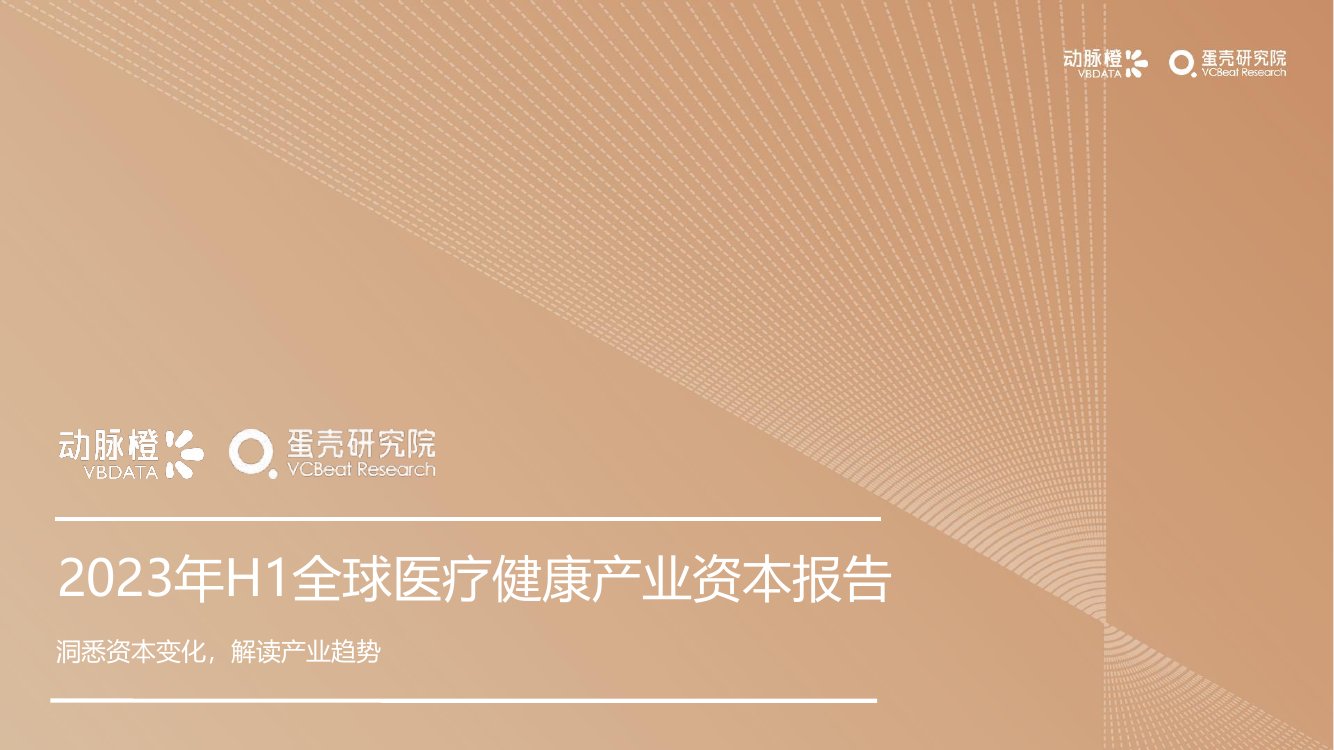 动脉橙：2023年H1全球医疗健康产业资本报告.pdf