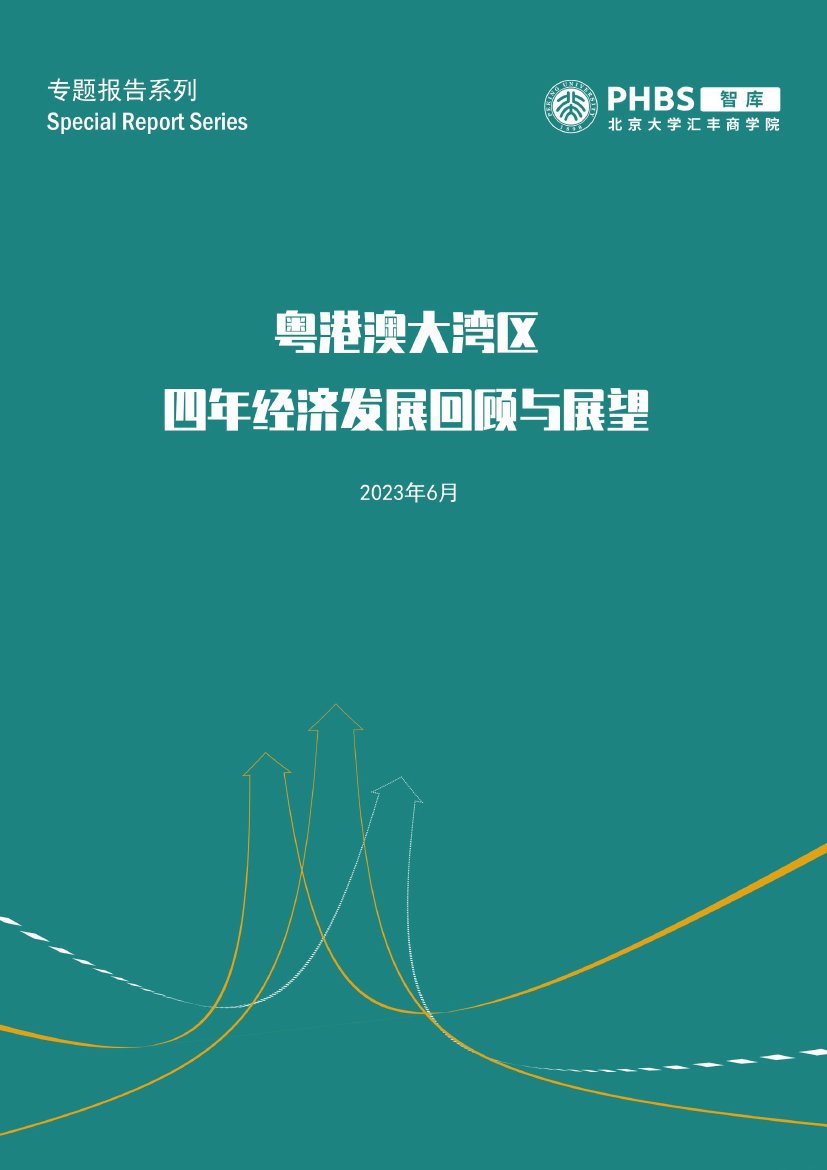 北大汇丰智库：粤港澳大湾区四年经济发展回顾与展望.pdf