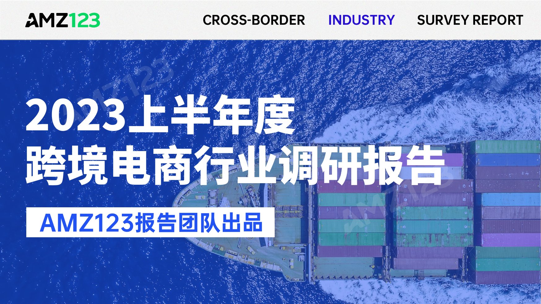 2023跨境电商行业调研报告.pdf