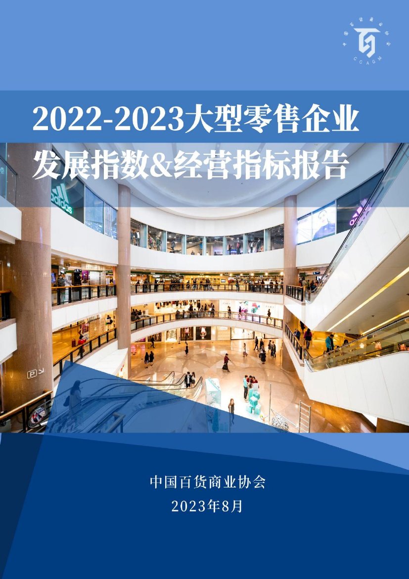 2022-2023大型零售企业发展指数&经营指标报告.pdf