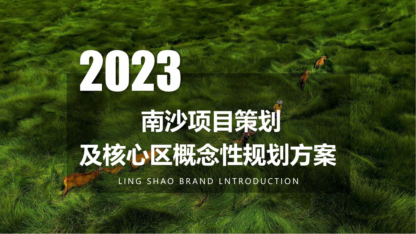 2023城市文旅田园综合体项目策划及核心区概念性规划方案.pdf